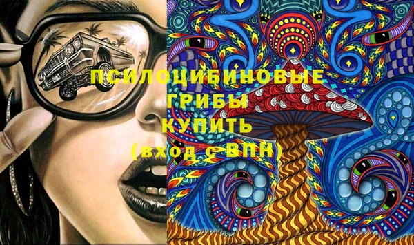стаф Абаза