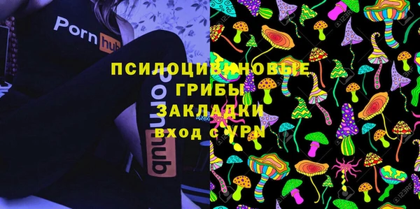 стаф Абаза