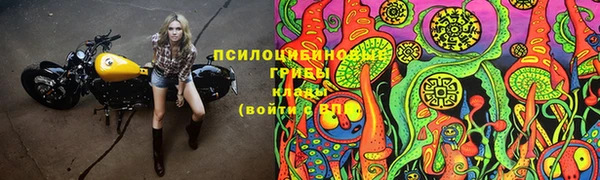 хмурый Алзамай